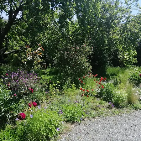 La Petite Charnasserie Bed & Breakfast